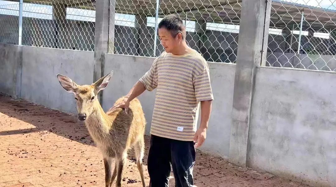 永州同城扯胡子微信同号
